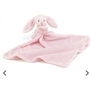Pink Plush Bunny Blanket